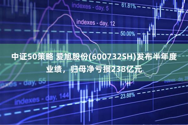 中证50策略 爱旭股份(600732SH)发布半年度业绩，归母净亏损238亿元