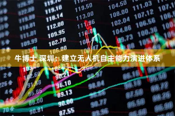 牛博士 深圳：建立无人机自主能力演进体系